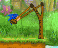 Sonic Fly